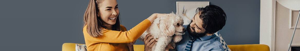 PetMate banner - Rakuten coupons and Cash Back