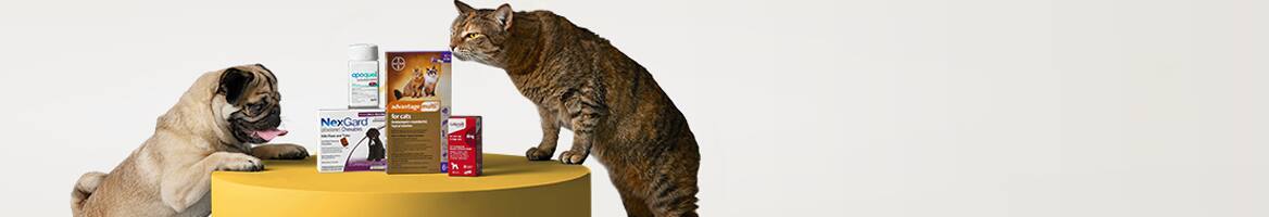 Chewy banner - Rakuten coupons and Cash Back